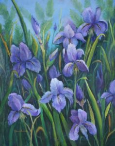My Iris in Bloom